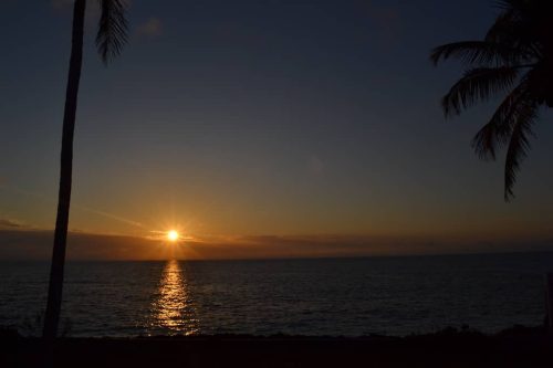 4.-Health-Consultant-Sandy-Springs-GA