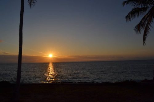 5.-Health-Consultant-Sandy-Springs-GA