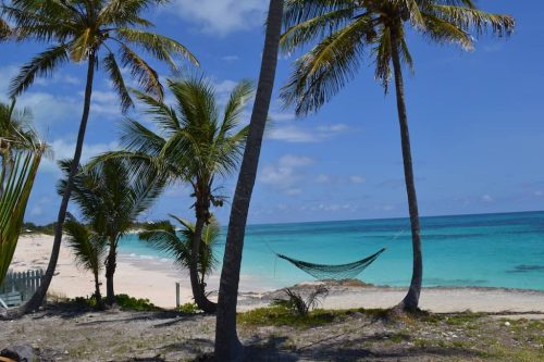 7.-Health-Consultant-Sandy-Springs-GA